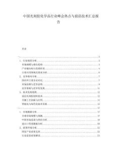 中國光刻膠化學品行業峰會熱點與前沿技術匯總報告