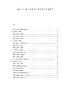 Fast芯片組技術(shù)壁壘與突破路徑專項報告