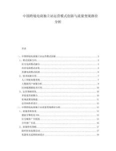 中国跨境电商独立站运营模式创新与流量变现路径分析
