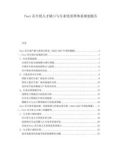 Fast芯片組人才缺口與專業(yè)化培養(yǎng)體系規(guī)劃報告