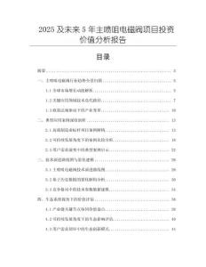 2025及未來5年主噴咀電磁閥項(xiàng)目投資價(jià)值分析報(bào)告