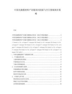 中國(guó)光掩模材料產(chǎn)業(yè)鏈協(xié)同創(chuàng)新與空白領(lǐng)域填補(bǔ)策略