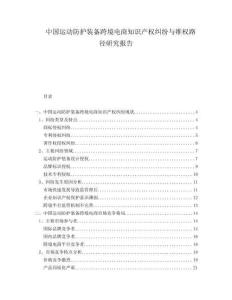 中國運(yùn)動防護(hù)裝備跨境電商知識產(chǎn)權(quán)糾紛與維權(quán)路徑研究報告