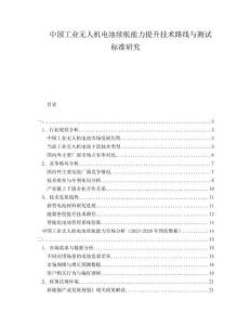 中國工業(yè)無人機(jī)電池續(xù)航能力提升技術(shù)路線與測試標(biāo)準(zhǔn)研究