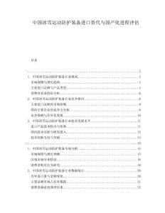 中国冰雪运动防护装备进口替代与国产化进程评估