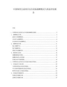 中国体育公益项目安全设备捐赠模式与效益评估报告