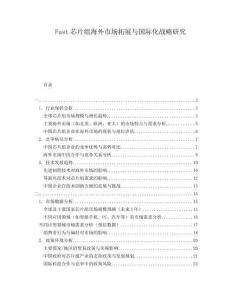 Fast芯片組海外市場拓展與國際化戰(zhàn)略研究