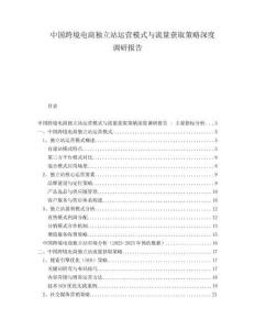 中国跨境电商独立站运营模式与流量获取策略深度调研报告