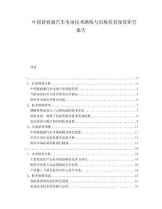 中國新能源汽車電池技術(shù)路線與市場前景深度研究報告