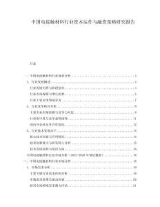 中國(guó)電接觸材料行業(yè)資本運(yùn)作與融資策略研究報(bào)告