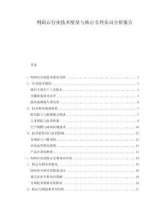 明矾石行业技术壁垒与核心专利布局分析报告
