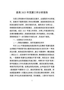 縣局2025年黨建工作分析報(bào)告