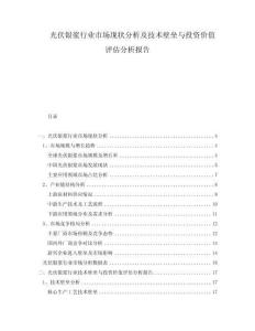 光伏銀漿行業(yè)市場(chǎng)現(xiàn)狀分析及技術(shù)壁壘與投資價(jià)值評(píng)估分析報(bào)告