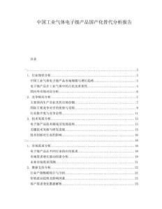 中國(guó)工業(yè)氣體電子級(jí)產(chǎn)品國(guó)產(chǎn)化替代分析報(bào)告