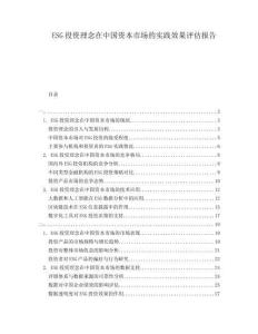 ESG投資理念在中國(guó)資本市場(chǎng)的實(shí)踐效果評(píng)估報(bào)告