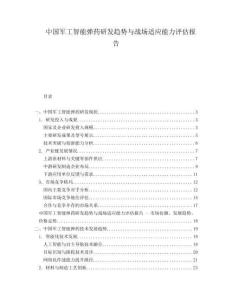 中國軍工智能彈藥研發(fā)趨勢與戰(zhàn)場適應(yīng)能力評(píng)估報(bào)告