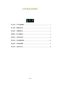 STDM擁堵治理策略