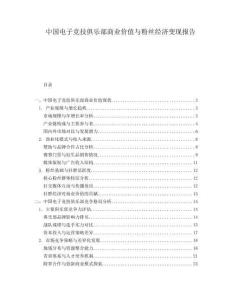 中國電子競技俱樂部商業(yè)價值與粉絲經濟變現報告
