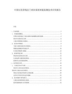 中國石化管線法蘭密封系統(tǒng)智能監(jiān)測技術(shù)應(yīng)用報(bào)告