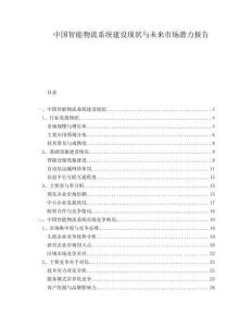 中國(guó)智能物流系統(tǒng)建設(shè)現(xiàn)狀與未來(lái)市場(chǎng)潛力報(bào)告