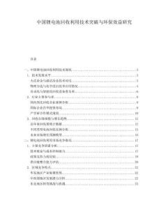 中國(guó)鋰電池回收利用技術(shù)突破與環(huán)保效益研究