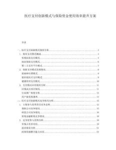 医疗支付创新模式与保险资金使用效率提升方案