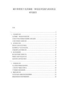 碳中和背景下光伏儲能一體化技術發(fā)展與商業(yè)機會研究報告