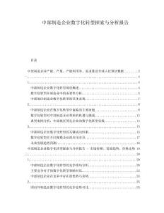 中部制造企業(yè)數(shù)字化轉(zhuǎn)型探索與分析報告