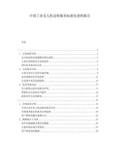 中國工業無人機巡檢服務標準化進程報告