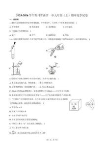 2025-2026學年四川省內江一中九年級（上）期中化學試卷（含答案）