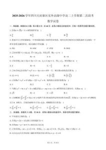 2025-2026學年四川天府新區實外高級中學高二上學期第二次段考數學試卷（含答案）