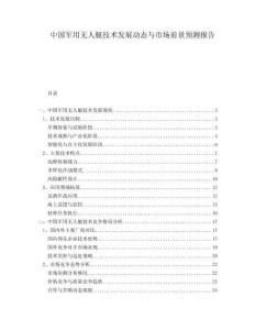 中国军用无人艇技术发展动态与市场前景预测报告