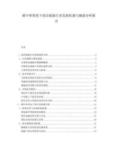 碳中和背景下清潔能源行業(yè)發(fā)展機(jī)遇與挑戰(zhàn)分析報告