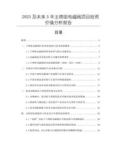 2025及未來5年主噴咀電磁閥項(xiàng)目投資價(jià)值分析報(bào)告
