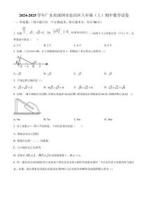 精品解析：廣東省深圳市鹽田區2024-2025學年八年級上學期期中考試數學試卷（原卷版）