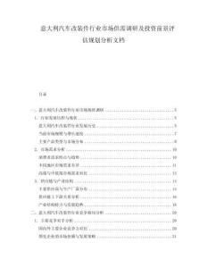 意大利汽車改裝件行業(yè)市場供需調(diào)研及投資前景評估規(guī)劃分析文檔