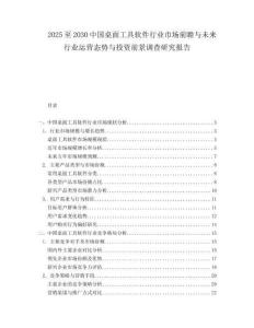 2025至2030中国桌面工具软件行业市场前瞻与未来行业运营态势与投资前景调查研究报告