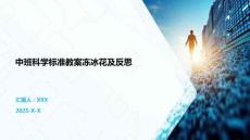 中班科學(xué)標(biāo)準(zhǔn)教案凍冰花及反思