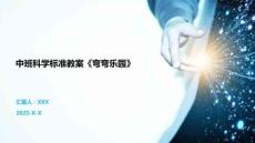 中班科學(xué)標(biāo)準(zhǔn)教案《彎彎樂園》