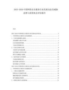 2025-2030中国网络安全服务行业发展动态及威胁态势与投资机会评估报告