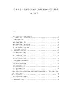 汽車改裝行業消費趨勢深度監測及賽車改裝與性能提升報告