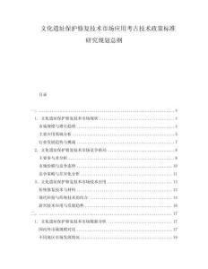 文化遺址保護修復技術(shù)市場應用考古技術(shù)政策標準研究規(guī)劃總綱