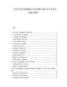 中国飞行时间摄像机行业反垄断合规与公平竞争环境建设报告