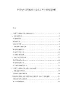 中國汽車改裝配件制造業(yè)品牌營銷規(guī)劃分析