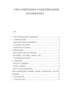 中国汽车智能科技有限公司市场需求现状及投资机会评估规划分析报告