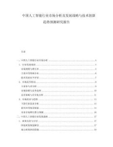 中国人工智能行业市场分析及发展战略与技术创新趋势预测研究报告