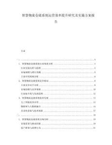 智慧物流倉儲系統(tǒng)運(yùn)營效率提升研究及實(shí)施方案報告