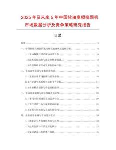 2025年及未來5年中國軟軸高頻搗固機市場數(shù)據(jù)分析及競爭策略研究報告