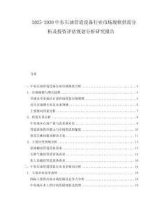 2025-2030中东石油管道设备行业市场现状供需分析及投资评估规划分析研究报告