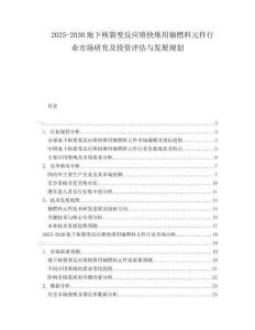 2025-2030地下核裂變反應堆快堆用鈾燃料元件行業市場研究及投資評估與發展規劃
